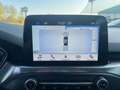 Ford Focus 1.5 TDCi 120 CV Start&Stop Pow. SW Titanium Busine Grigio - thumbnail 15
