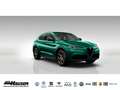 Alfa Romeo Stelvio INTENSA 2.0 Turbo AT8 Q4 PANORAMA HARMAN-KARDON BR Verde - thumbnail 1