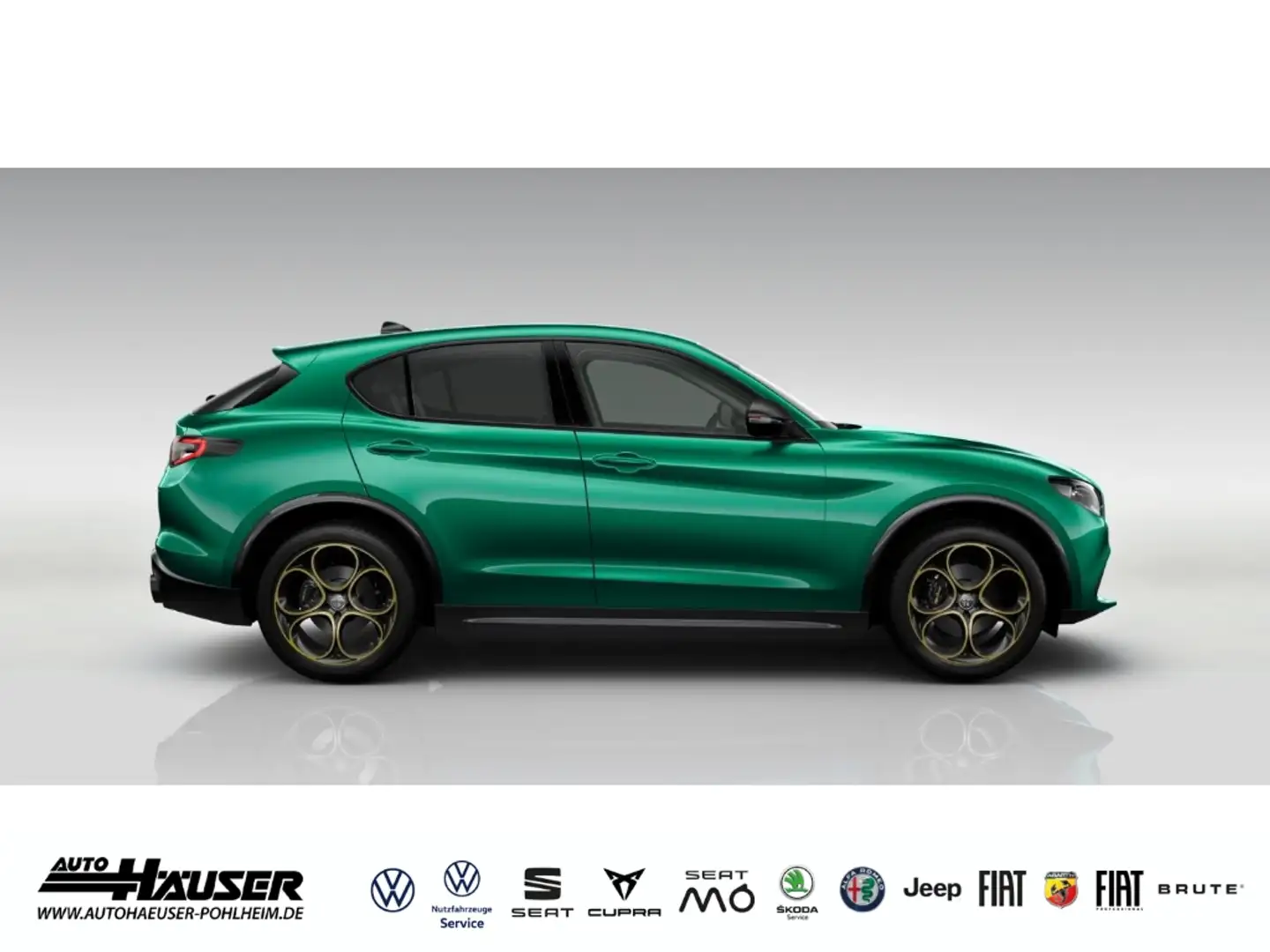 Alfa Romeo Stelvio INTENSA 2.0 Turbo AT8 Q4 PANORAMA HARMAN-KARDON BR Verde - 2
