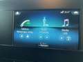Mercedes-Benz Sprinter F39/33 Euro 6D Unico Proprietario Bianco - thumbnail 14