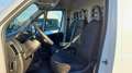 Fiat Ducato 140 35 L2H2 * Netto €24.990,- * Weiß - thumbnail 9