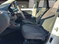 Volkswagen up! ! move up! BMT Klima/Sitzhzg/Einparkhilfe Weiß - thumbnail 12