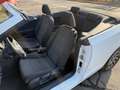 Volkswagen Golf Cabriolet Golf Cabriolet 1.6 CR TDi BMT Karmann Blanc - thumbnail 10