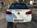 Volkswagen Golf Cabriolet Golf Cabriolet 1.6 CR TDi BMT Karmann Blanc - thumbnail 8