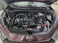Toyota C-HR C-HR II 2023 1.8 hv Trend fwd e-cvt Lilla - thumbnail 5