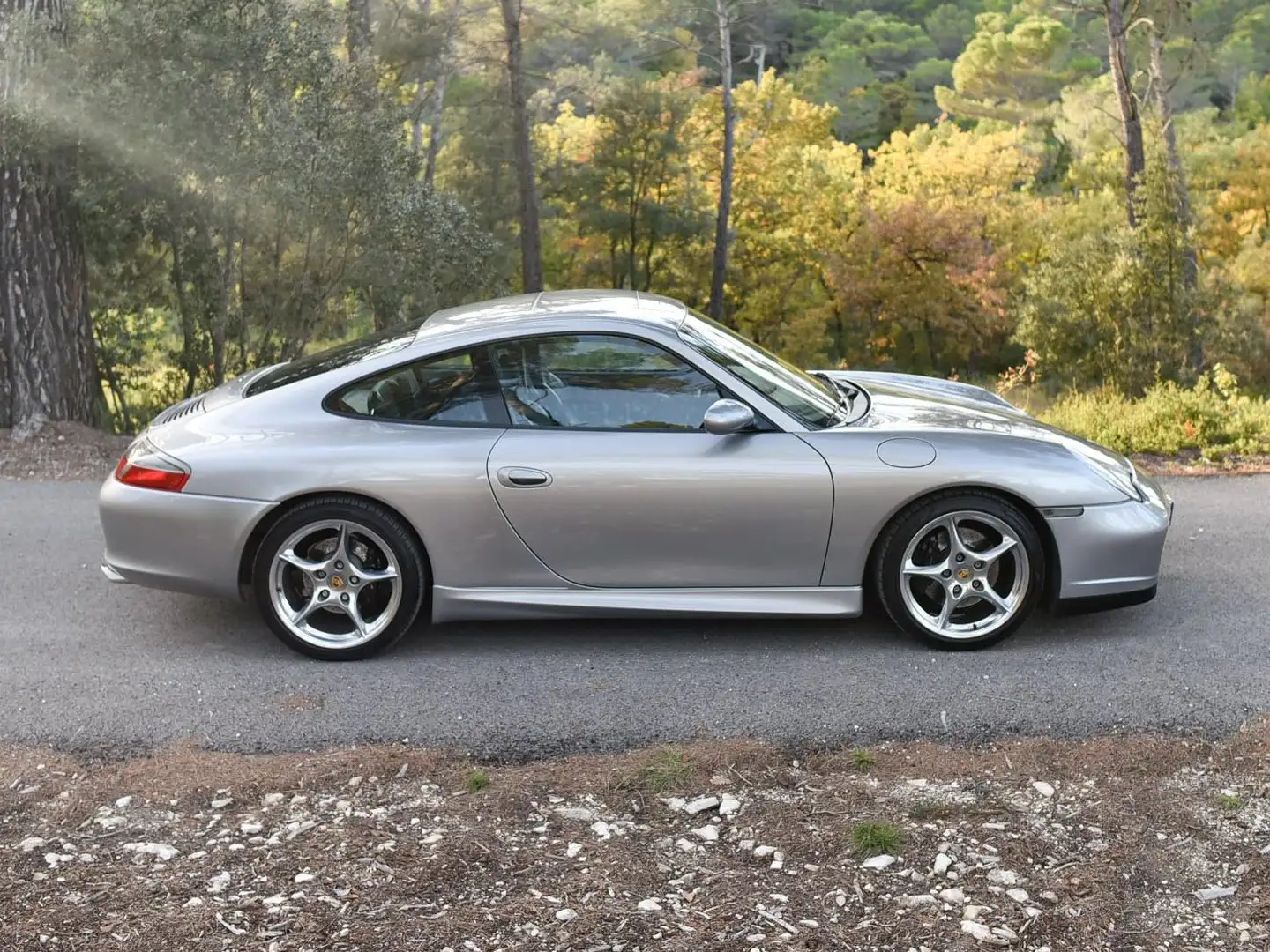Porsche 911 996 40 Jahre - Anniversary Plateado - 2