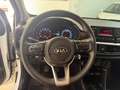 Kia Picanto 1.0 12V GPL 5 porte Urban Blanc - thumbnail 8