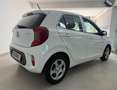 Kia Picanto 1.0 12V GPL 5 porte Urban Blanc - thumbnail 3