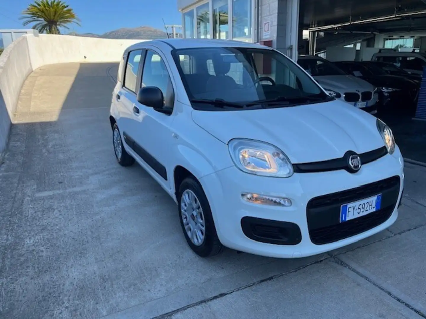 Fiat Panda 1.2 Easy Bianco - 1