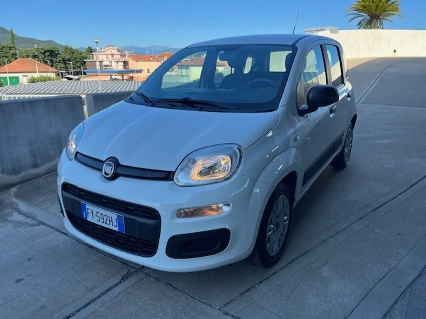 Fiat Panda 1.2 Easy Bianco - 2