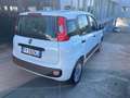 Fiat Panda 1.2 Easy Bianco - thumbnail 5