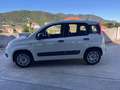 Fiat Panda 1.2 Easy Bianco - thumbnail 3