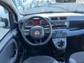 Fiat Panda 1.2 Easy Bianco - thumbnail 7