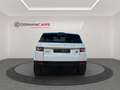 Land Rover Range Rover Evoque 2.2L eD4 Pure 4x2 Blanc - thumbnail 25
