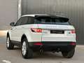 Land Rover Range Rover Evoque 2.2L eD4 Pure 4x2 Blanc - thumbnail 12