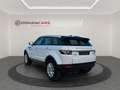 Land Rover Range Rover Evoque 2.2L eD4 Pure 4x2 Blanc - thumbnail 11