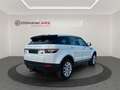 Land Rover Range Rover Evoque 2.2L eD4 Pure 4x2 Blanc - thumbnail 5