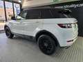 Land Rover Range Rover Evoque 2.2L TD4 Pure 4x4 Blanc - thumbnail 4