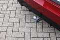 BMW 530 5 Serie Touring 530e M Sport Automaat / Panoramada Rood - thumbnail 5
