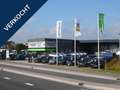 Ford Focus hatchback/sedan Focus 1.0 EcoBoost Titanium Start/ Grijs - thumbnail 42