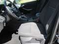 Ford Focus Turnier Sync Edition, 8-fach Bereift Schwarz - thumbnail 9