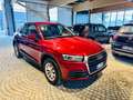 Audi Q5 40 TDI QUATTRO KM 79.000 - FULL - PROMO FINANZIAME Rouge - thumbnail 5