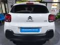 Citroen C3 BlueHDi 75KW (100CV) S&S Live Pack Blanco - thumbnail 5