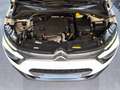 Citroen C3 BlueHDi 75KW (100CV) S&S Live Pack Blanco - thumbnail 18