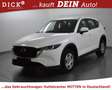 Mazda CX-5 2.0 Prime-Line LED+PDC+MFL+TEMP+KLIMA+DAB Weiß - thumbnail 4