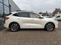 Ford Kuga 2.5 PHEV ST-Line X 225PK Panodak Winterpack Cruise Wit - thumbnail 9
