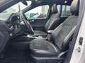 Ford Kuga 2.5 PHEV ST-Line X 225PK Panodak Winterpack Cruise Wit - thumbnail 4