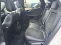 Ford Kuga 2.5 PHEV ST-Line X 225PK Panodak Winterpack Cruise Wit - thumbnail 16