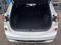 Ford Kuga 2.5 PHEV ST-Line X 225PK Panodak Winterpack Cruise Wit - thumbnail 12