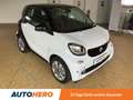 smart forTwo 0.9 Turbo Perfect Aut.*PDC*SHZ*PANO*KLIMA*TEMPO* Weiß - thumbnail 8