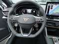 CUPRA Formentor 2.0 TSI 4Drive VZ DSG AHK Matrix Pano Grau - thumbnail 9