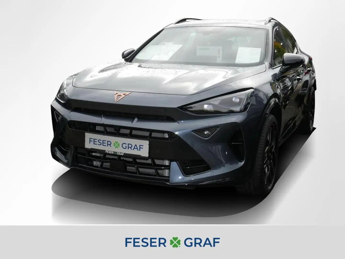 CUPRA Formentor 2.0 TSI 4Drive VZ DSG AHK Matrix Pano Grau - 1