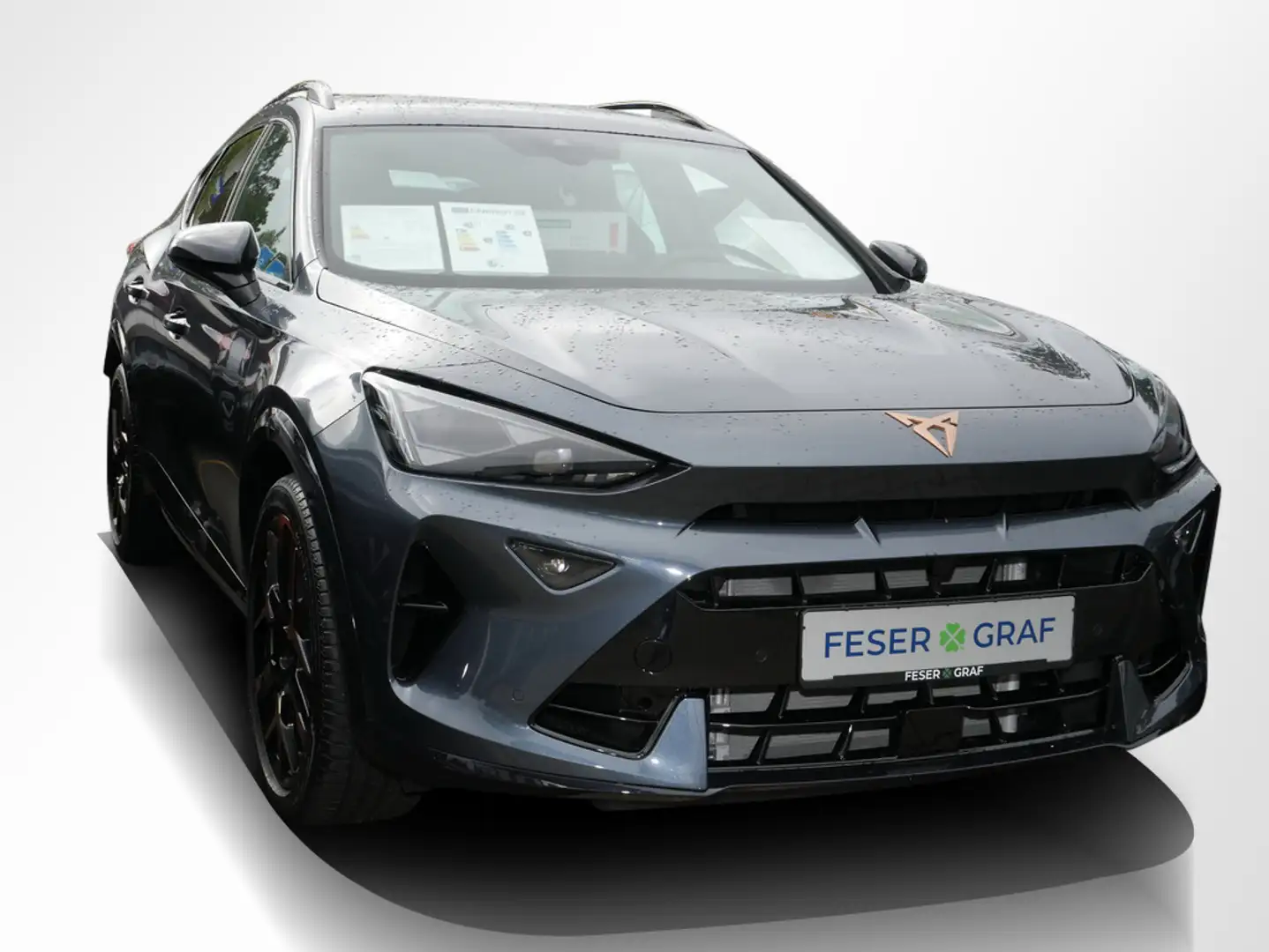 CUPRA Formentor 2.0 TSI 4Drive VZ DSG AHK Matrix Pano Grigio - 2