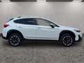 Subaru XV 1.6i CVT Style  Allrad Aut. Weiß - thumbnail 6