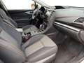 Subaru XV 1.6i CVT Style  Allrad Aut. Weiß - thumbnail 13