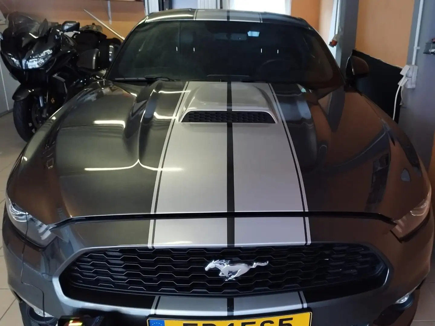 Ford Mustang Mustang 2.3 Eco Boost Gris - 2