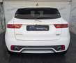 Jaguar E-Pace 2.0d i4 Chequered Flag awd 180cv auto Bianco - thumbnail 5
