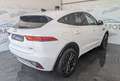 Jaguar E-Pace 2.0d i4 Chequered Flag awd 180cv auto Bianco - thumbnail 4