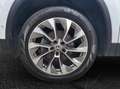Skoda Kodiaq 1,5l TSI DSG Clever Weiß - thumbnail 4