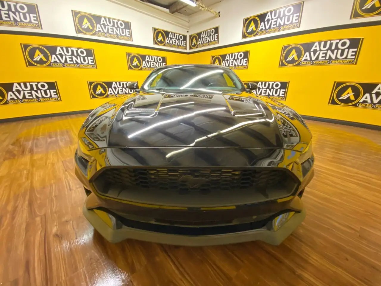Ford Mustang photo Ford Mustang