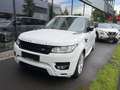 Land Rover Range Rover Sport 3,0 TDV6 HSE Dynamic Weiß - thumbnail 1