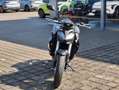Honda CB 1000 CB1000 S Hornet mit 6 Jahren Garantie! Gris - thumbnail 4