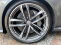 Audi RS6 Avant 4.0 tfsi quattro CARBO/TETTO PER RIVENDITORI Gris - thumbnail 6