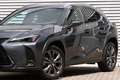 Lexus UX 250h F Sport Design Leer / Navi / Carplay Grijs - thumbnail 5