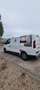 Fiat Talento Verkaufen Privat - thumbnail 5