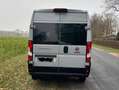 Fiat Ducato L4H2 verglast Standheiz Drehkonsole Grau - thumbnail 4